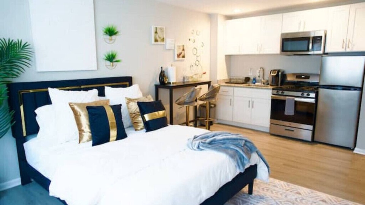 Takoma Apartment | Stylish Studio w/Free Parking/Close to Metro/Fast WIFI
