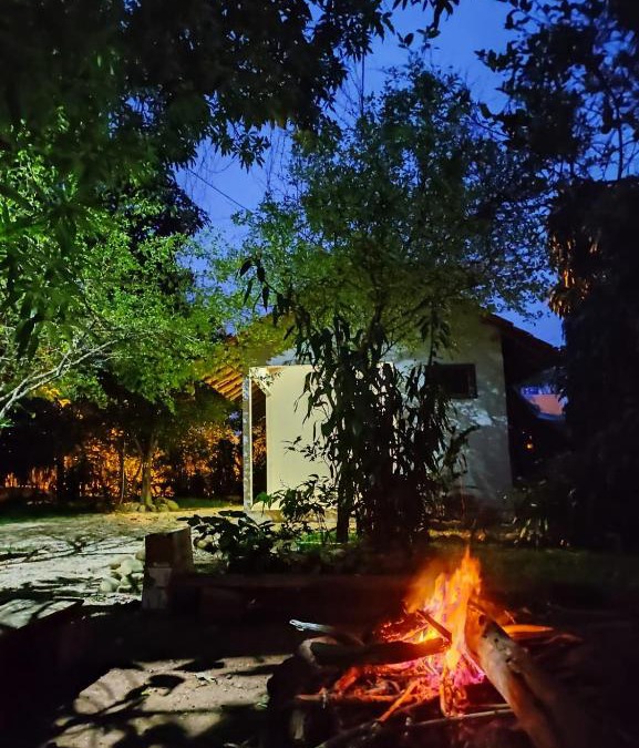 Cuiaba House | Suíte da Floresta
