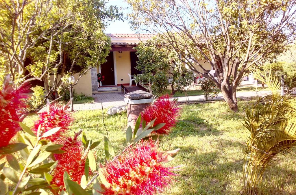 Tortoli Hotel | Su Pasu
