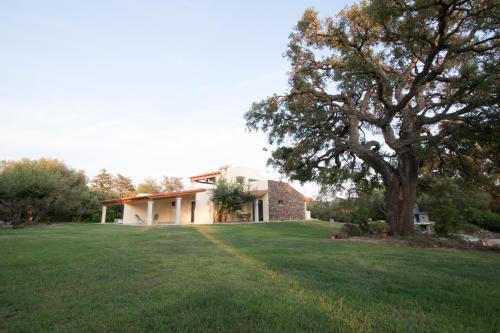 San Teodoro House | Su Suberju