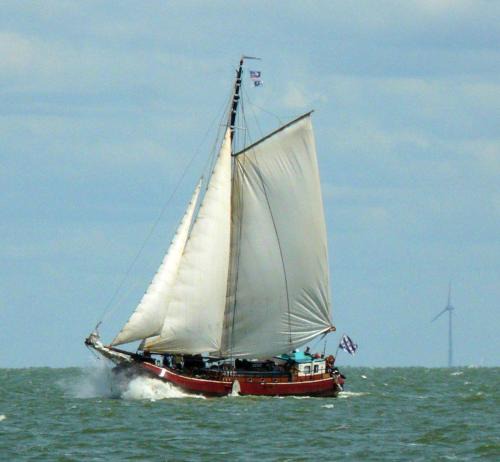 Stadsdriehoek Boat Rental | Sudermar