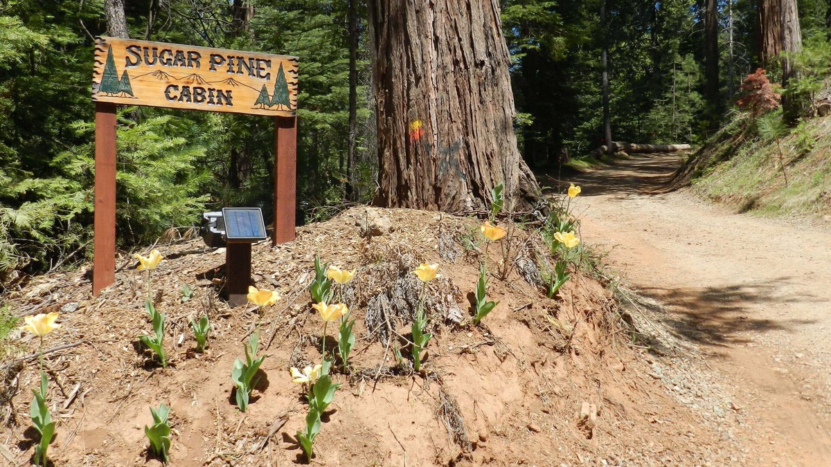 Mariposa Cabin | Sugar Pine Cabin in beautiful Mariposa Pines