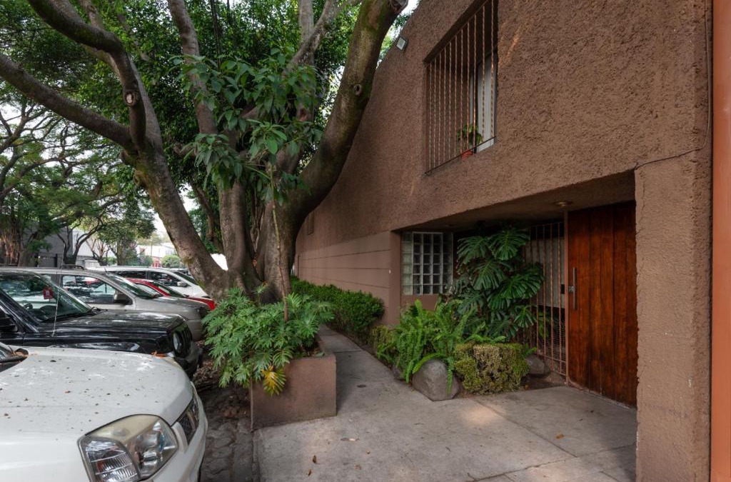 Campestre Apartment | Suite 1-A Monasterio Garden House Welcome to San Angel