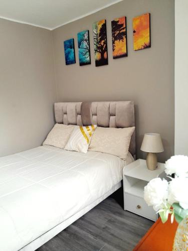 Chimborazo Province Apartment | Suite Boreal