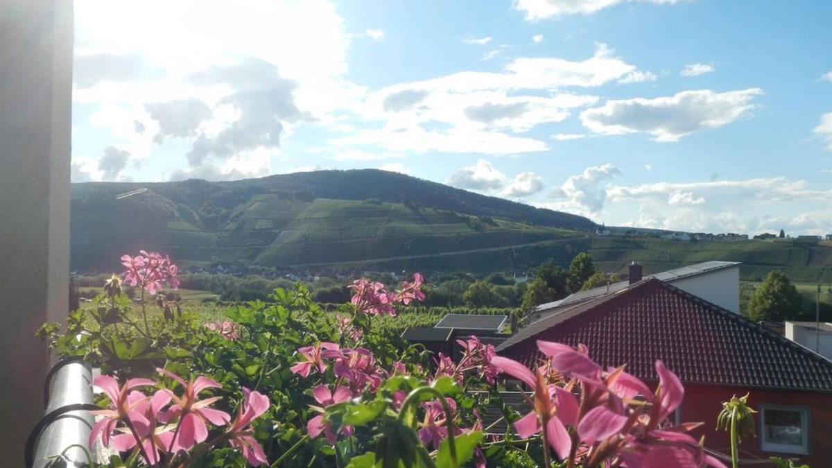 Brauneberg Apartment | Suite "inartico", Deutschland