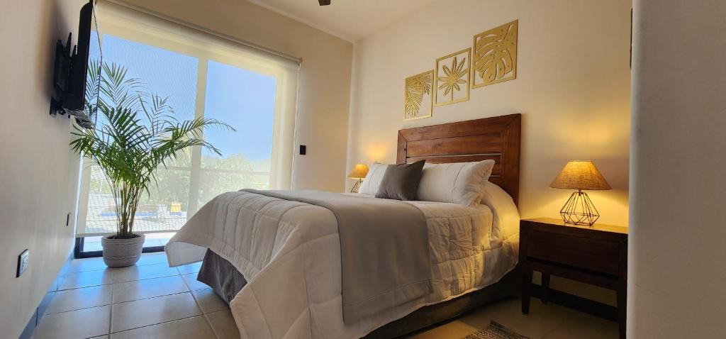 San Jose del Cabo Apartment | SUITES LOMBOY & PLAZA