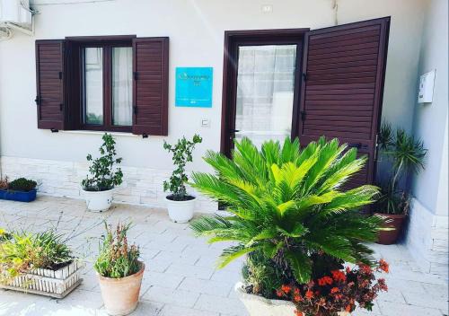 Comitini Bed & Breakfast | Sulfurea B&B ***