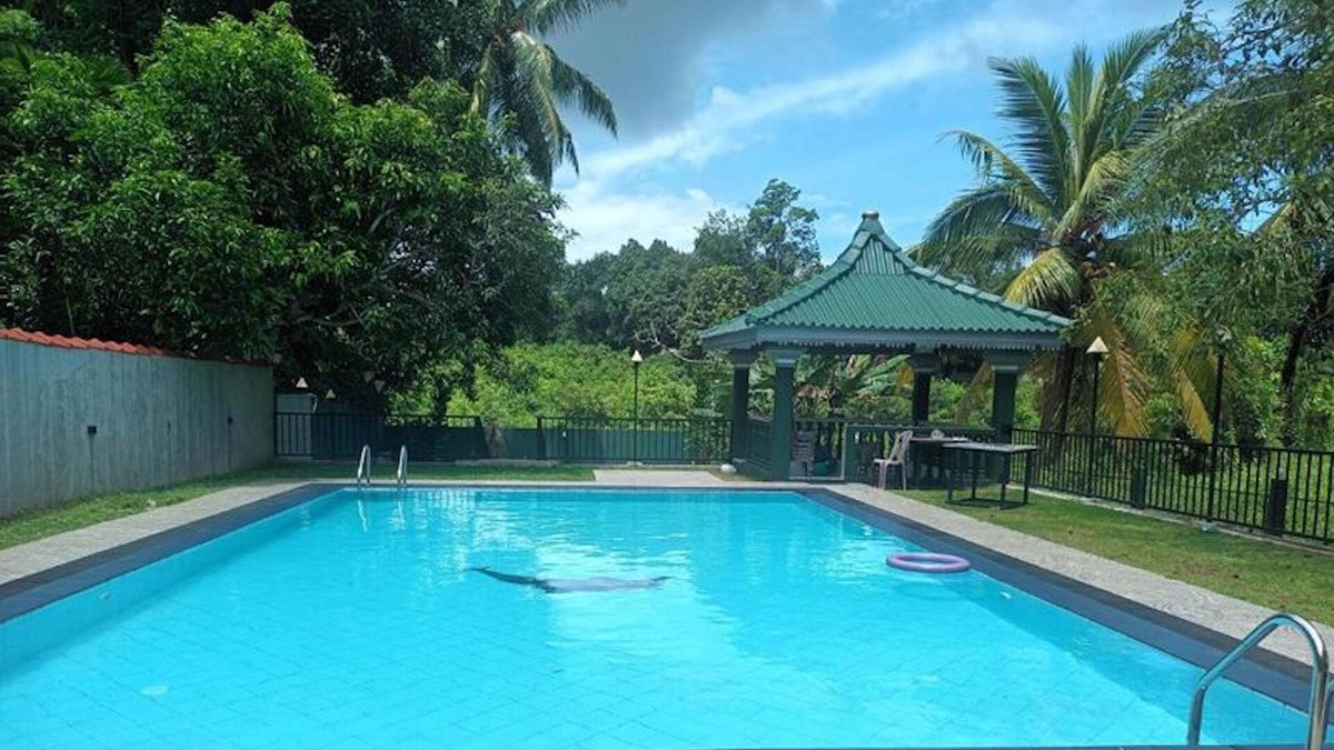 Bentota Bed & Breakfast | Suma Villa 240 Bentara Uragaha Elpitiya Rd Bentota