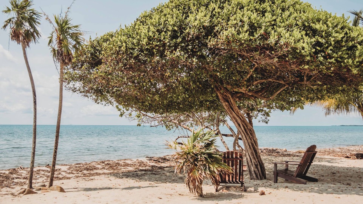 Plantation House | Summer Breeze