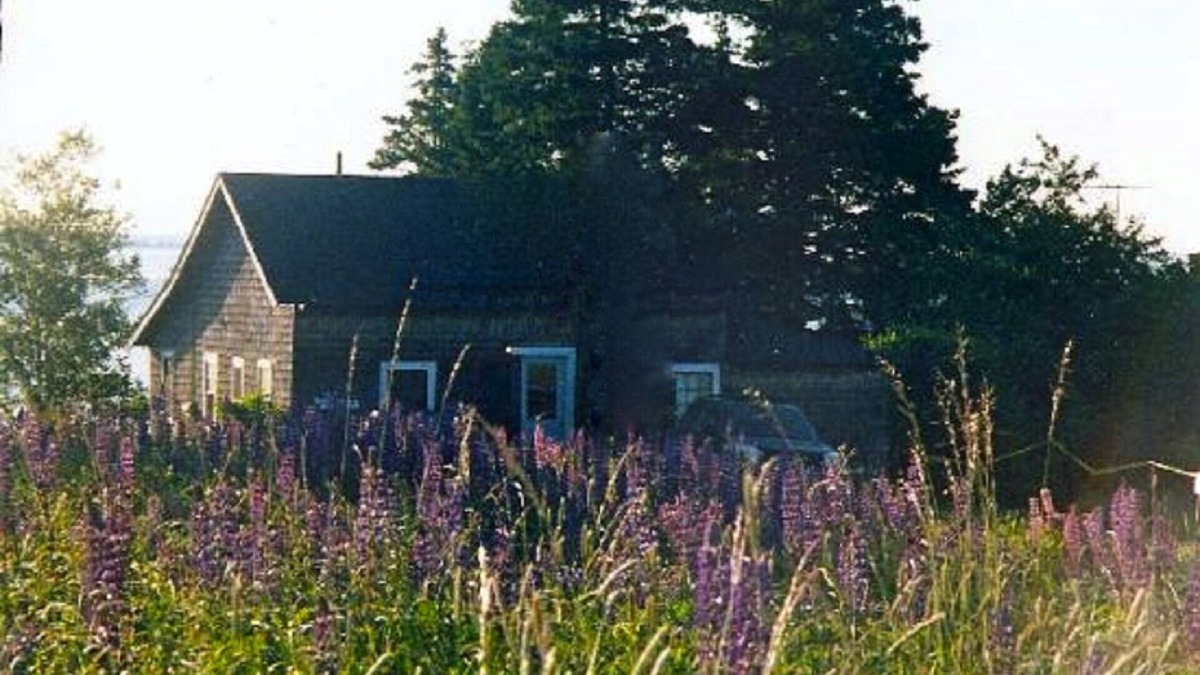 Brooklin Cottage | Summer Cottage In Exquisite Coastal Maine Spot