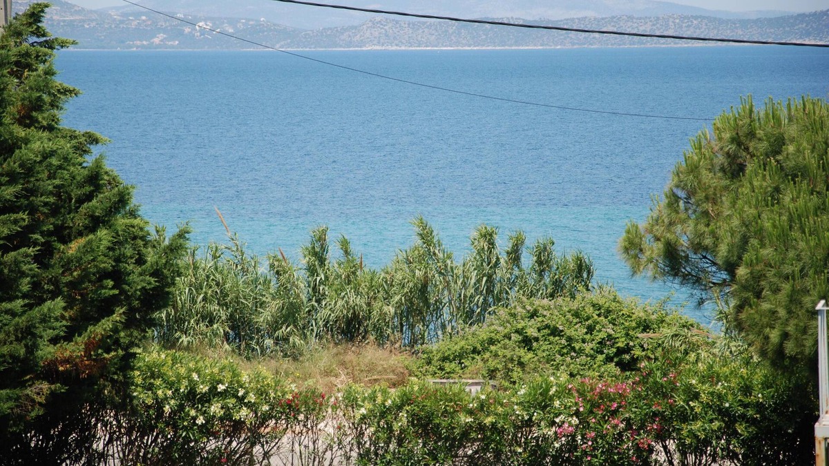 Nea Makri Villa | SUMMER HOUSE 100m from a nice beach !