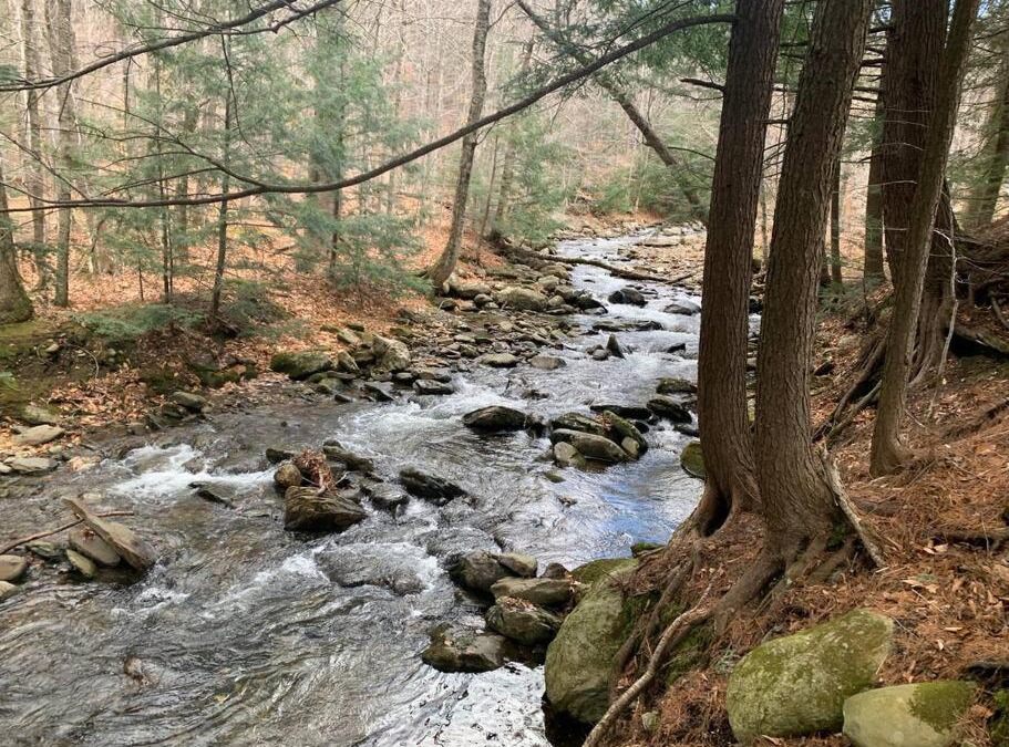 Jeffersonville Apartment | Summer in Vermont at Smugglers Notch - 20 minutes from Stowe