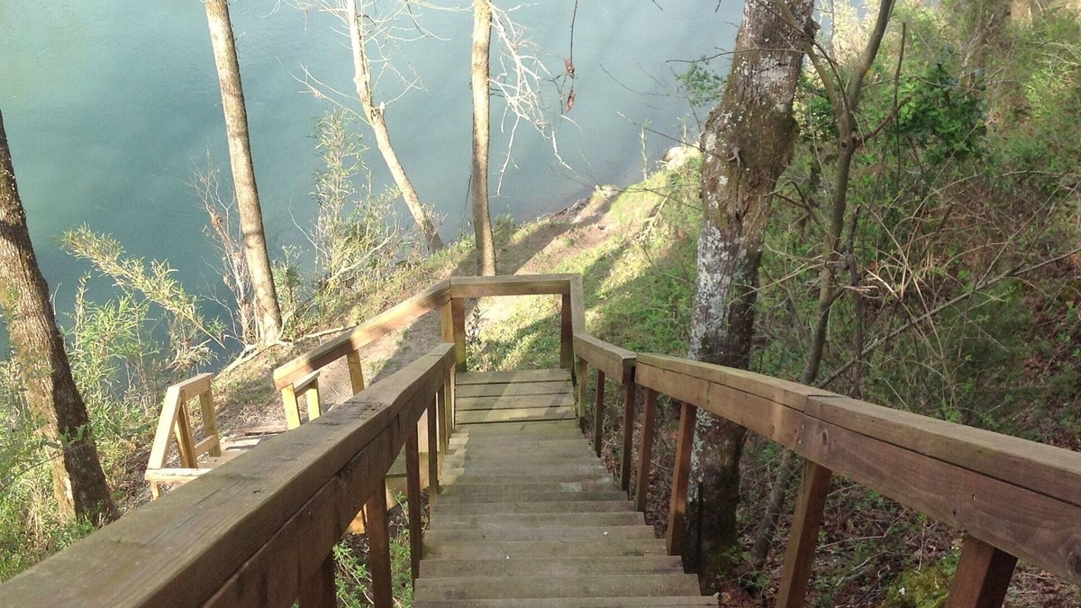 Amity Cabin | Summer is here! Come stay with us 🏞🚣♀️🚣♂️🌞