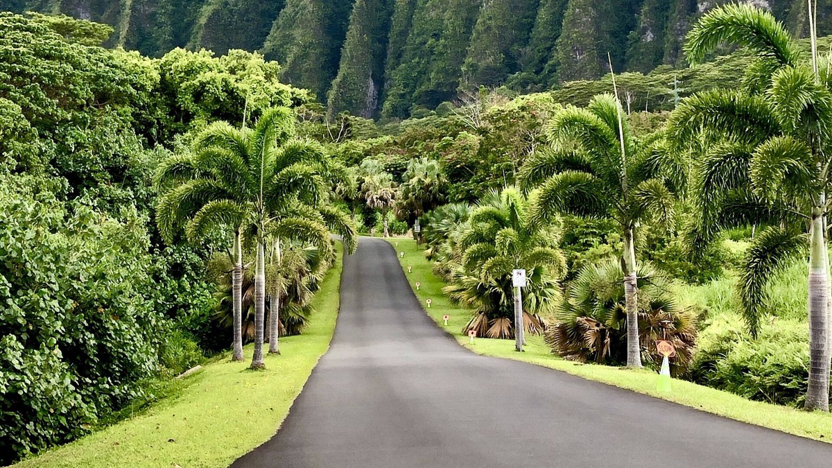 Enchanted Lake House | Summer Sale Kailua- 2 BR with Mountain, Lake Views, Full Kitchen, Laundry and AC