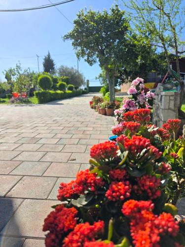 Qerek Apartment | Summer Tale Rooms