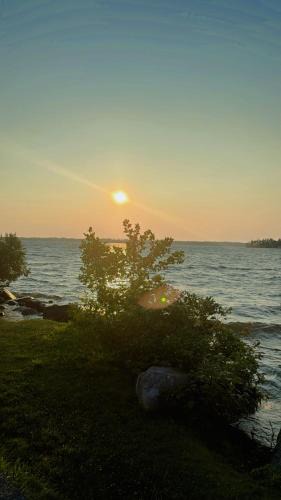 Fenelon Falls Resort | Summerland cottages