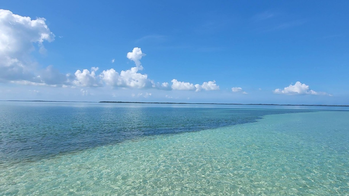 Summerland Key House | Summerland Cove Paradise Waterfront Deep Water Canal