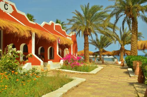 Safaga Hotel | Sun Beach Hotel ABO SOMA