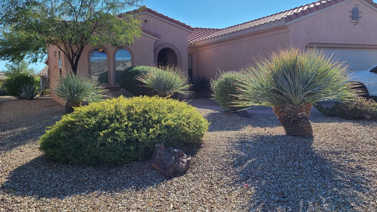 Surprise House | Sun City Grand 2BR House