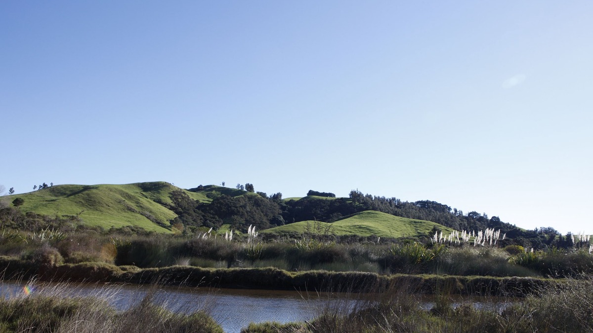 Whiritoa House | Sun drenched, peaceful views, immaculate modern home.