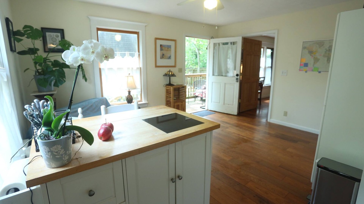 Decatur Apartment | Sun-filled, private apartment, with your own petite deck. Pet friendly.