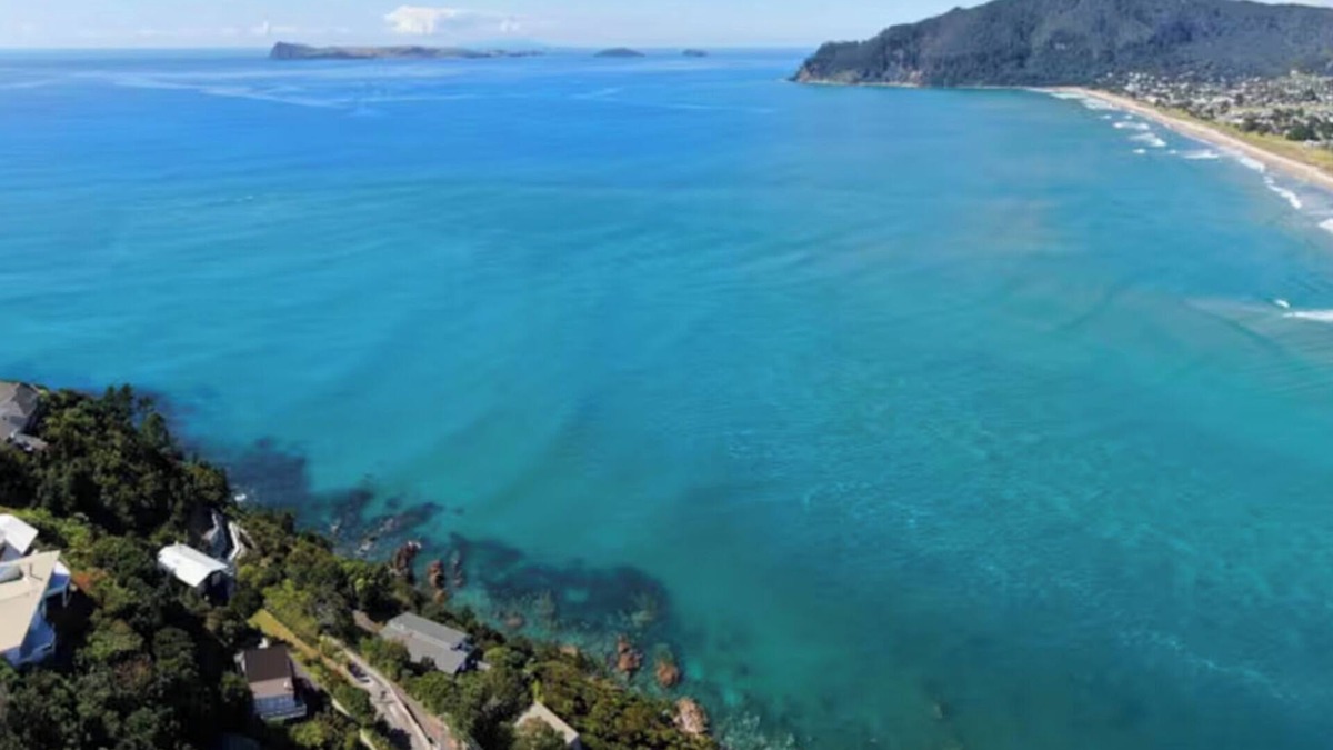 Coromandel Forest Park House | Sun-Kissed Shores of Tairua!