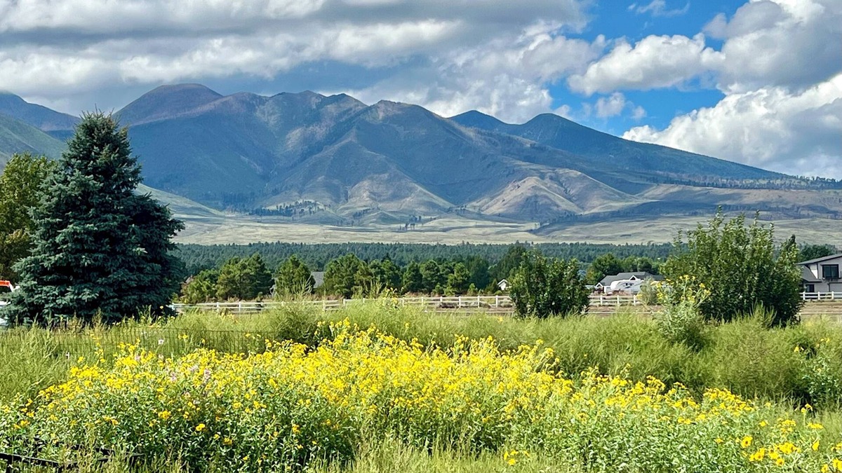 Flagstaff Cottage | 🌻Sunflower Cottage🌻Breathtaking Mountain Views & Fresh Air Retreat!