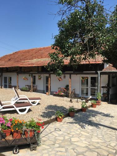 Polski Trambesh House | Sunflower Guest House Bulgaria