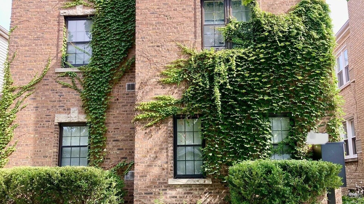 Evanston Apartment | Sunny Evanston Studio: Stylish Decor, Hardwood Floors, Fenced Yard & Parking
