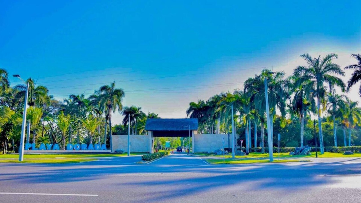 Los Brazos Apartment | Sunny Paradise
