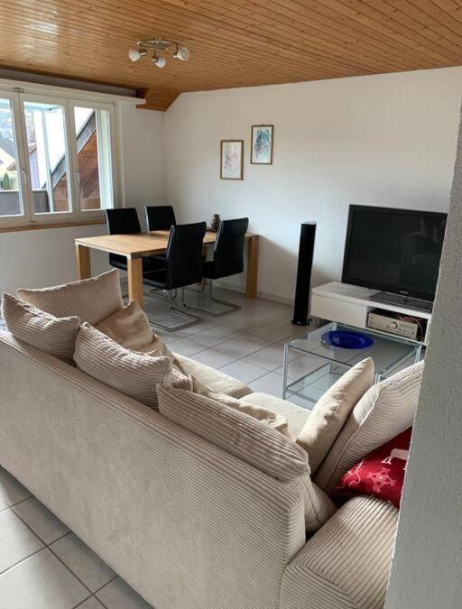 Pfaffikon District Apartment | Sunny private Apartment in an amazing valley