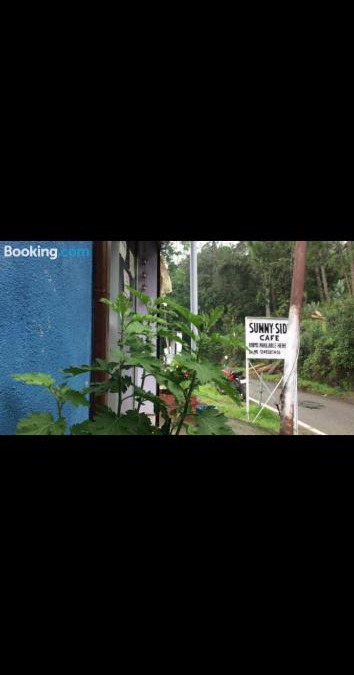 Almora House | Sunny-side cottage&cafe
