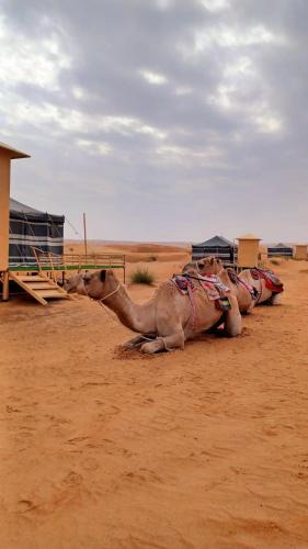 Bidiya Other | Sunrise Desert Local Private Camp
