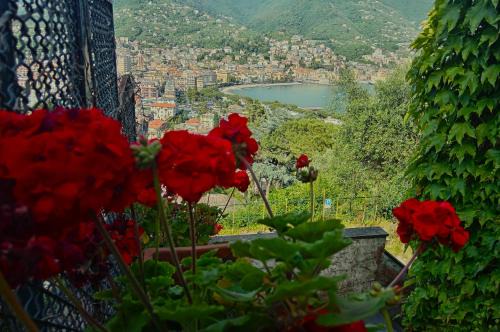 Rapallo Villa | Sunrise