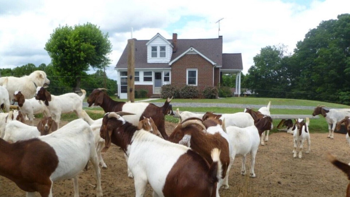 Lawsonville Other | Sunset View Farmhouse
