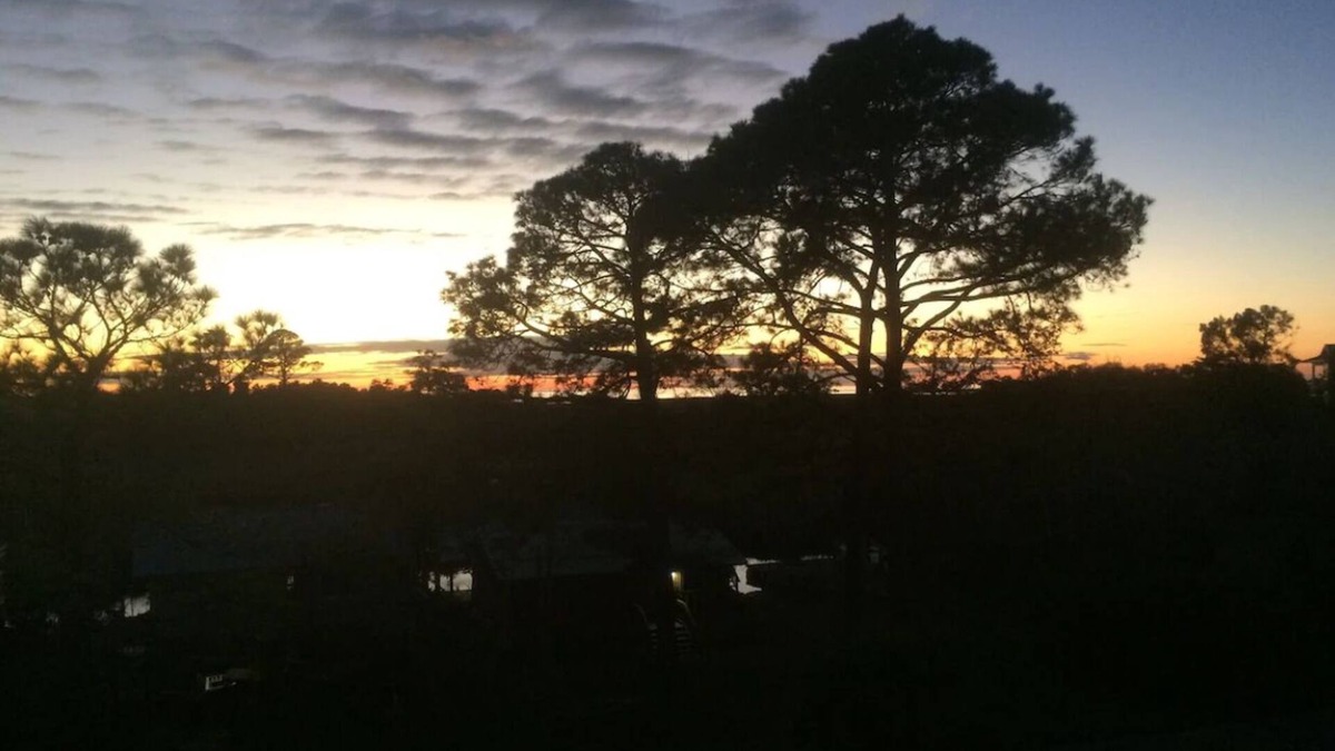 Suwannee Condo | Sunsets, Canal Front, FISH, FISH, FISH! Suwannee Cove - Unit 207, Boat Slip 23