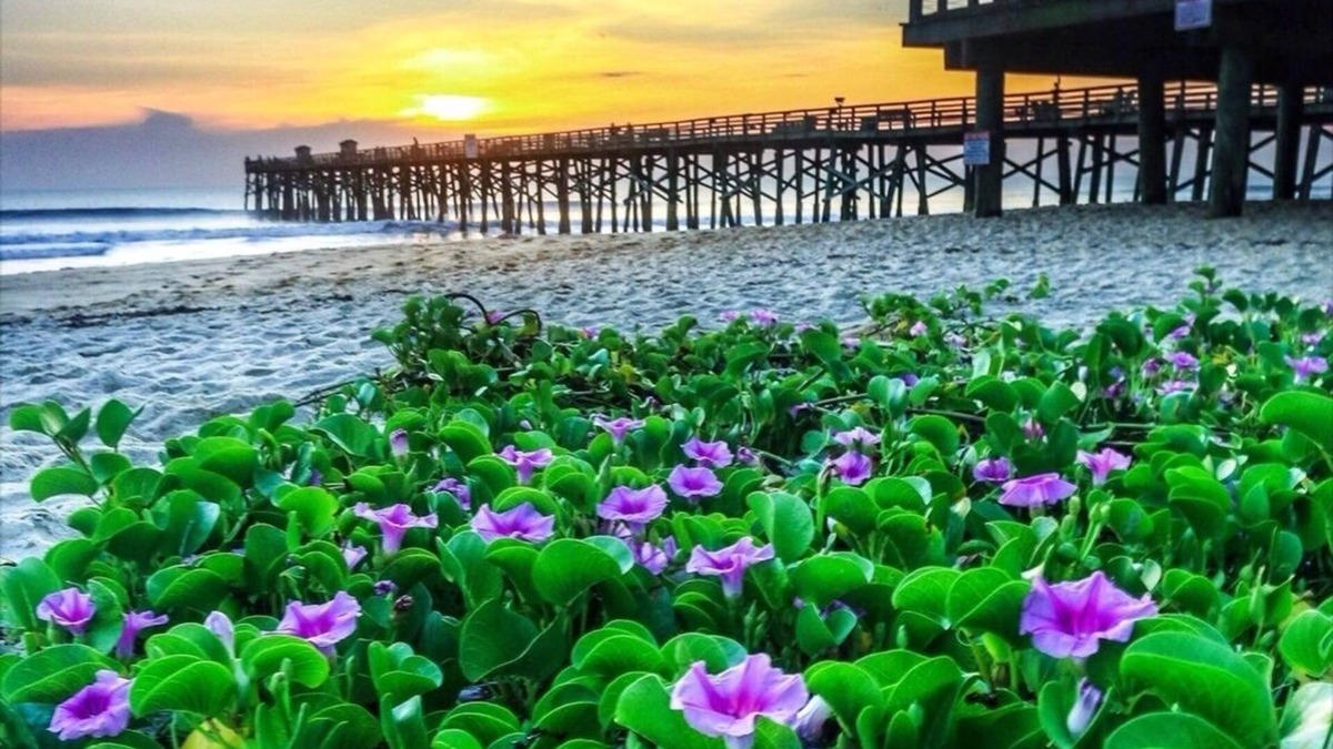 Flagler Beach Apartment | Sunshine Daydream in the heart of Flagler Beach