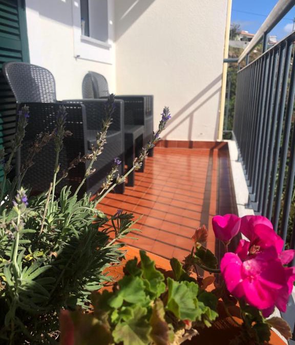 Gaula House | Sunshine Room