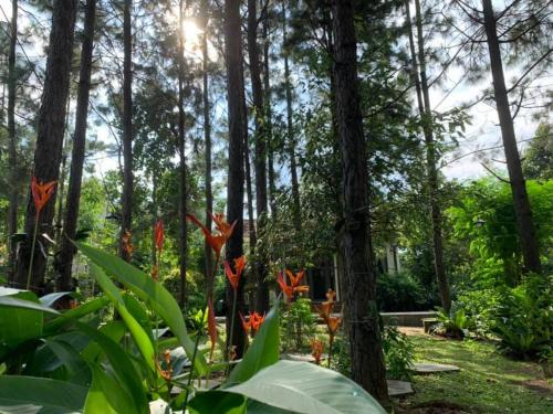 Chau Duc Cabin | Suoi Rao Ecolodge