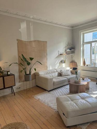 St. Hanshaugen Apartment | Super apartment in heart of Oslo