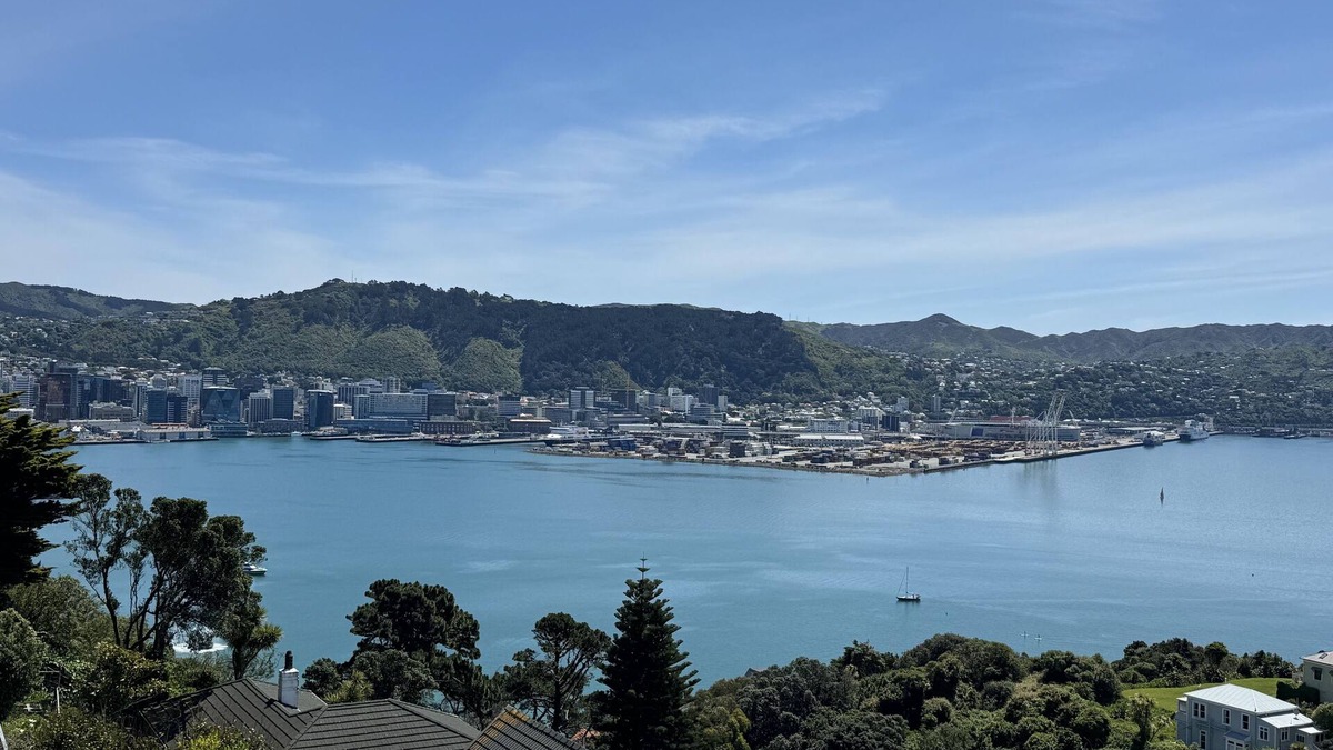 Oriental Bay Villa | Super large seaview house