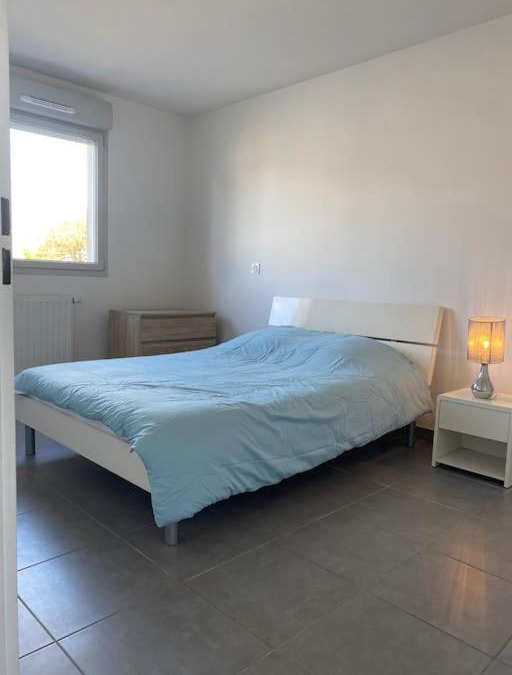 Castelnau-le-Lez Apartment | superb Appartement a castelnau Le lez