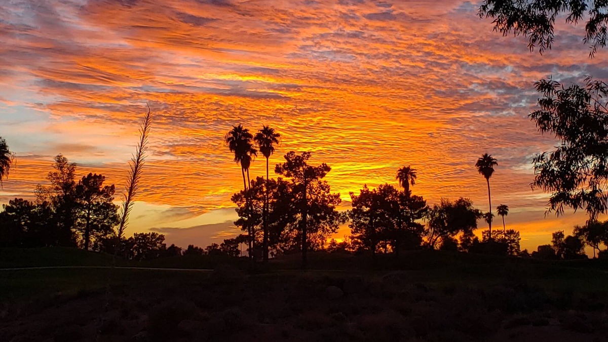 Superstition Lakes Condo | Superstition Lakes Condo on Golf Course - Large Patio with Hole #18 Views!