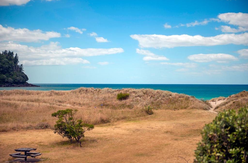 Whangamata House | Surf Beach Views - Whangamata Holiday Home