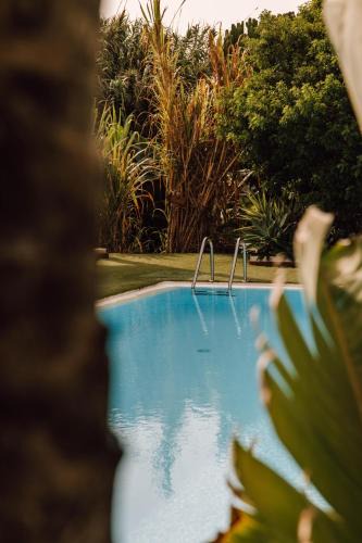 Lajares Bed & Breakfast | Surfescape Fuerteventura