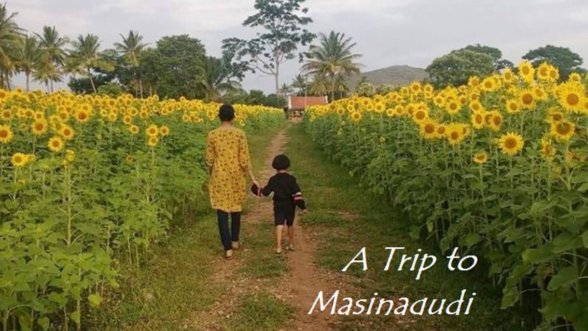 Masinagudi House | Surrounded by Greenery view Home Stay @ masinagudi