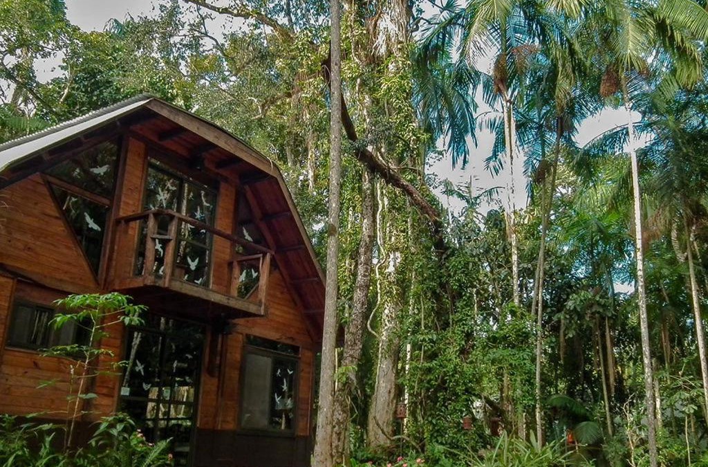 Comandante Andresito Cabin | Surucua Reserva & Ecolodge
