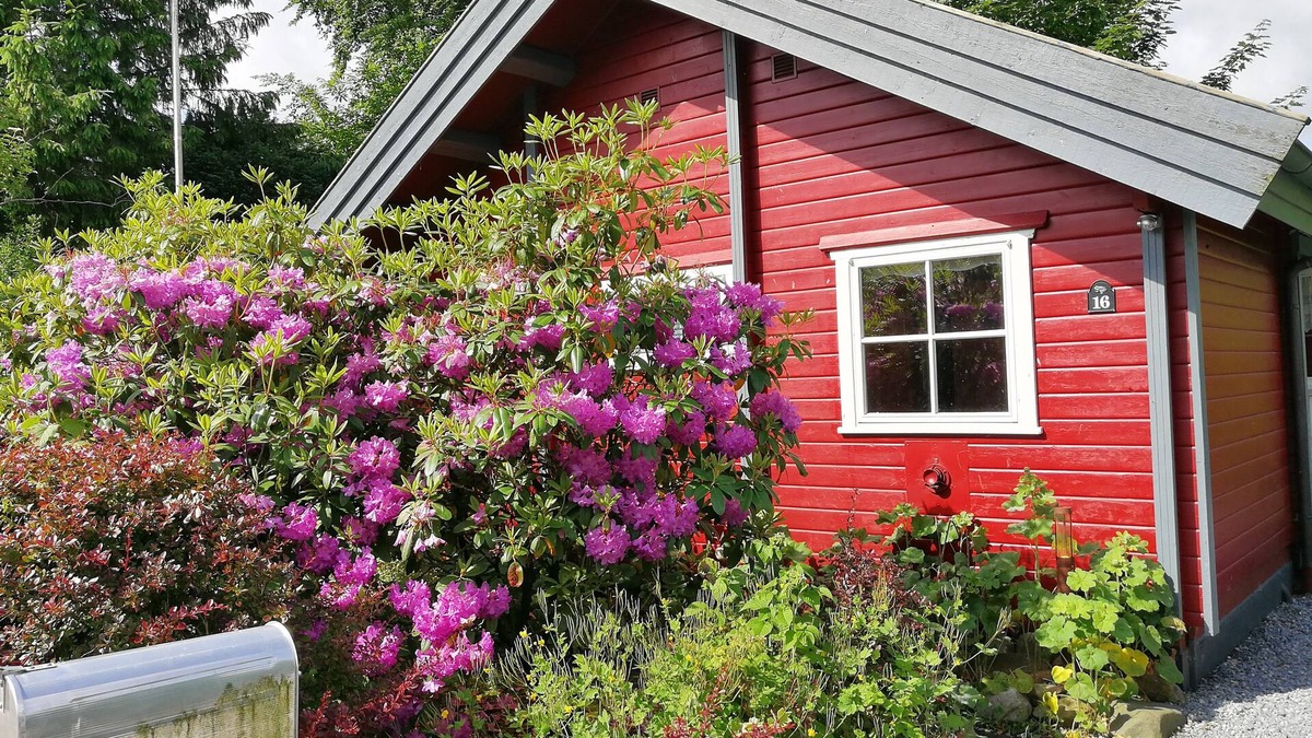 Geel House | Sweden cozy house near Brodersby/Missunde
