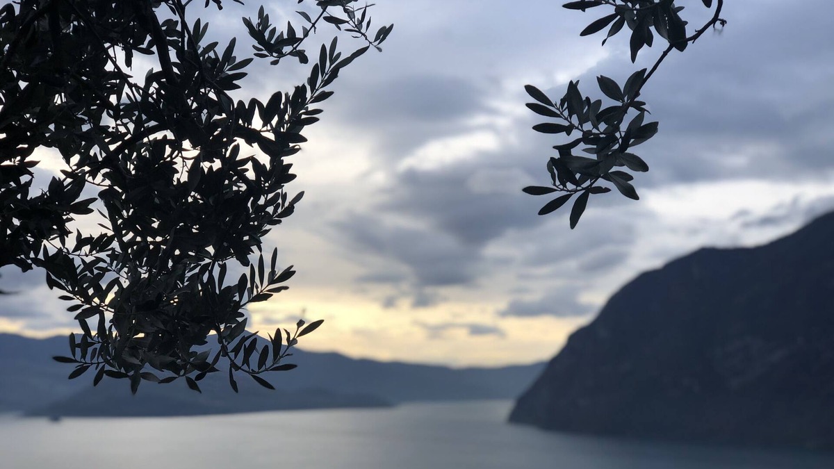 Riva di Solto Apartment | Sweet Home Rental - Lavender Apartment - 4 + 2 PL