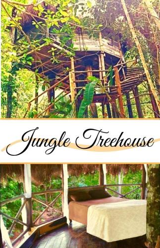 Leona Vicario Apartment | Sweet Jungle Dreams - Exclusive Treehouse and Cenote